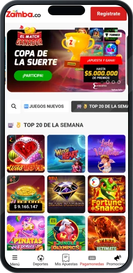 Banner ilustrativo de Zamba